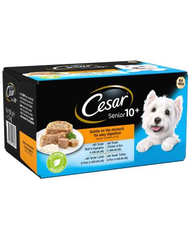 Cesar 10+ - Wet Dog Food for Senior Dogs Mixed Selection in Jelly 24 x 150 g 24 Trays