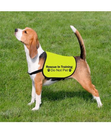 CENWA Rescue In Training Do Not Pet Dog Jacket Vest Nervous Anxious Training Dog Slogan Warning Vest (In Training Rescue M EU) - Buy Online on SooperMarket.com