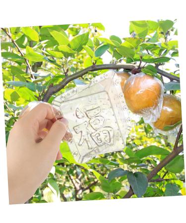 Mipcase 2pcs Square Apple Molds Fruit Vegetable Molds for Gardening Melon Stereotypes Plastic - Buy Online on SooperMarket.com