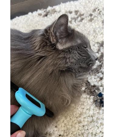 HCE Dog Hair Brush for Grooming | Best Brush for Matted Hair, Shedding & Defurring | Ideal for Large Dogs, Huskies | Blue - Buy Online on SooperMarket.com