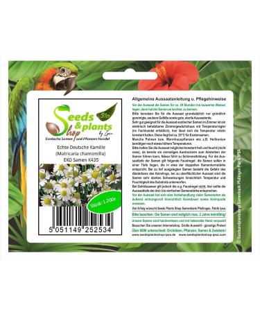 Pcs - 1200x Real German Chamomile Matricaria Chamomilla EKO Plants - Seeds K435 & Plants Shop by Ipsa