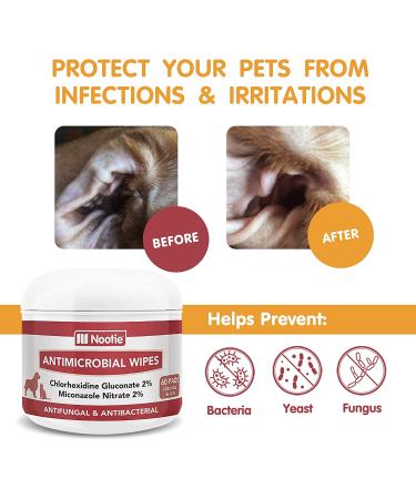 Nootie Medicated Dog Wipes - Antifungal, Antimicrobial, Antibacterial - 2% Chlorhexidine & Micronazole - 60 Pads - Buy Online on SooperMarket.com