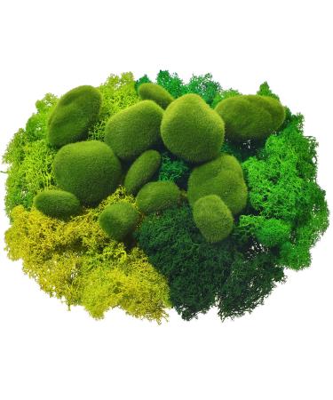 12 Pcs Artificial Moss Rock and 200 Gram Preserved Green Moss, Decorative Faux Green Stones Assorted Size Fake Moss Balls 5 Colors Floral Moss for Diary Garden DIY Craft Terrariums Potted Plants