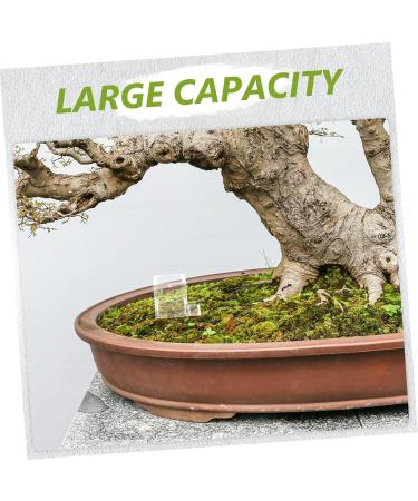 Balacoo 4pcs Pet Water Feeder Ants Farm Accessory Ants Drinking Bowls Ant Feeding Bowl Insect Feeder Plastic - Buy Online on SooperMarket.com