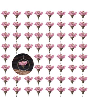 Dried Pressed Cherry Flowers  60PCS Pink Real Natural Dried Pressed Cherry Blossom Flowers  Dry Flowers for Resin DIY Ornament Crafts Candle Making  Natural Color Cherry Blossom -Pink