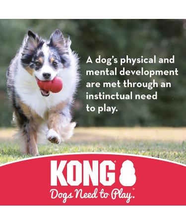 KONG Flyer Large - Durable Rubber Flying Disc Dog Toy | Buy Online - Buy Online on SooperMarket.com