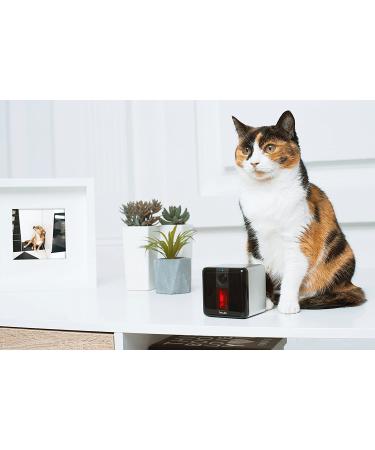 Petcube 2017: Smart Pet Camera with Interactive Laser Toy | HD Video, Two-Way Audio, Night Vision | App-Enabled Monitoring for Dog/Cat Safety - Buy Online on SooperMarket.com