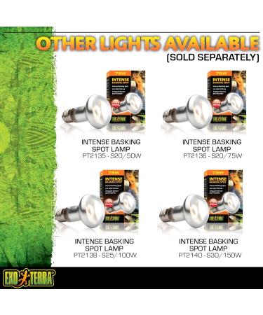Exo Terra Intense Basking Spot Heat Lamp R20 25W E27 Socket - Pack of 2 | International Shipping Available - Buy Online on SooperMarket.com