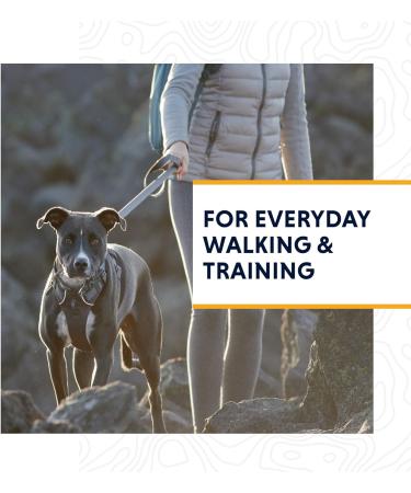 Buy Ruffwear Front Range Dog Harness XXS - Reflective Adjustable Comfortable & No Pulling - Perfect for Daily Walks - Dark Gray - Buy Online on SooperMarket.com