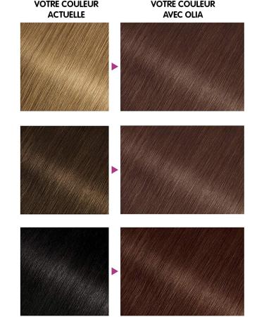 Garnier - Olia - Ammonia-free oil-based chestnut hair dye Brownie - Buy Online on SooperMarket.com