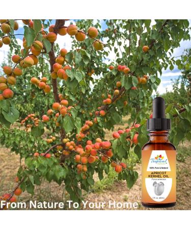 100% Pure Organic Apricot Kernel Oil - Cold-Pressed 2 oz from Turkey | Ideal for Massage Skincare Hair & Aromatherapy - Buy Online on SooperMarket.com