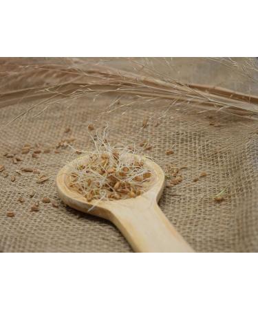 Royal Lee Organics Organic Hard Red Wheat Berries - 10 lb Bag - Buy Online on SooperMarket.com