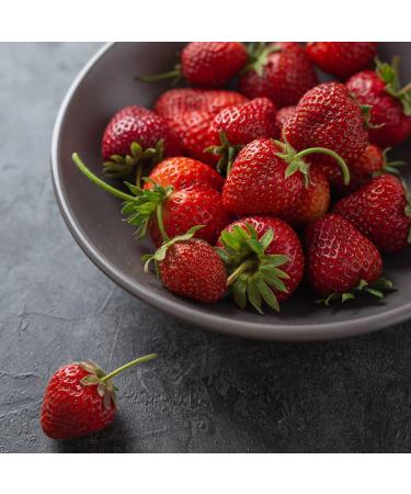 Earthbreath Raw Honey with Strawberries - 250g - Jams with Multiple Flavours - Sea Buckthorn - Ginger - Rowanberries - BlackCurrant - Cranberries - Lingonberries - No Additives Sugar-Free - Buy Online on SooperMarket.com