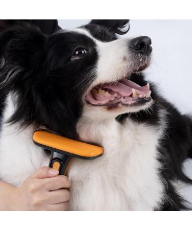 POLYTE Pet Grooming Comb and Deshedding Tool with Retractable Blade - Buy Online on SooperMarket.com