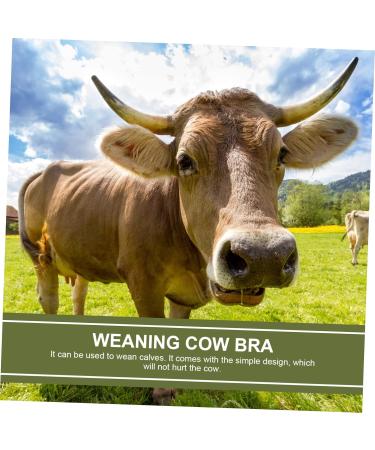 Buy Milk Hood for Cattle - Durable Plastic Cow Breast Protector & Weaner | Outdoor Farm Supplies - Buy Online on SooperMarket.com