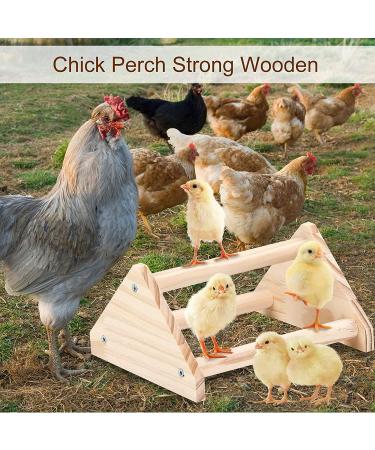 GINTUTO Pine Wooden Chick Jungle Gym Roosting Bar - Small Chicken Perch Toys for Coop and Brooder - Ideal for Large Bird Baby Chicks and Parrots - Buy Online on SooperMarket.com