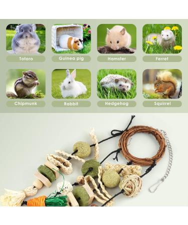 ERKOON Rabbit Hamster Hanging Chew Toys - Applewood Boredom Breaker with Grass Ball and Carrot Treats for Small Pets - Buy Online on SooperMarket.com