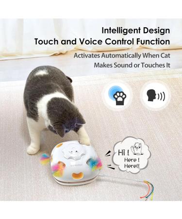 GoldenSun Cat Toy Chargeable 4-in-1 Interactive Kitten Toys for Indoor Cats Self Play Hide and Seek Cat Wand Toy Whack a Mole Exercise Cat Toys with 3Pcs DIY Replacement Feathers White Gold Passion Bohemian - Buy Online on SooperMarket.com