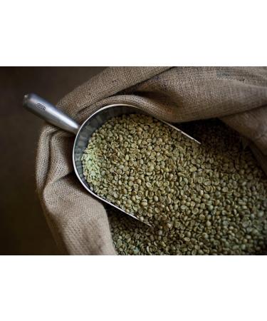 Moreish Coffee Roasters Strong Shit! Coffee Bags - Dark Roasted Blend (50 Count) - Buy Online on SooperMarket.com