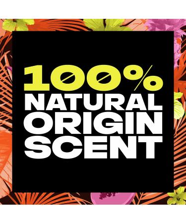 AXE Hawaiian Vibe Body Wash for Men | 100% Natural Scent, Plant Based | 18 oz, 4 Pack - Buy Online on SooperMarket.com