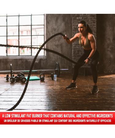Predator labs - Light Phoenix 30 Servings - Low boost fat burner that contains natural and effective ingredients to help you achieve your goals boosts fat burning regulates sugar levels improves release Formulated with a natural nootropic to improve cogni - Buy Online on SooperMarket.com