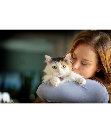 In Clover Spry Daily Respiratory and Ocular Support Soft Chews for Cats | L-Lysine, Superfoods, Prebiotics | Boosts Immune System | 2.1 oz - Buy Online on SooperMarket.com