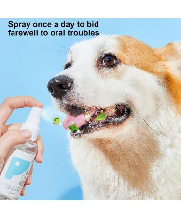 PUCHEN Teeth Cleaning Spray for Pet Pet Teeth Cleaning Spray 60ml - Cleaning Dog Teeth Spray Odors and Freshen Breath for Home Outdoor Travel Use - Buy Online on SooperMarket.com
