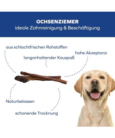 Buy Schwenner Ochsenziemer Dog Chews - 12cm Long-Lasting Chewing Treats - 5 pcs - 150g Pack - Premium Pet Food for Dogs - International Shipping Available - Buy Online on SooperMarket.com