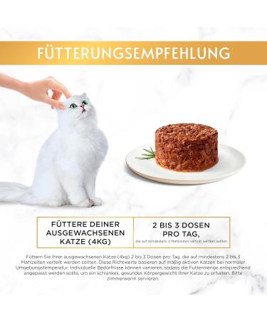 Gourmet PURINA GOURMET Gold Refined Ragout Wet Cat Food with Salmon - 12-Pack (12 x 85g) | Premium International Shipping - Buy Online on SooperMarket.com