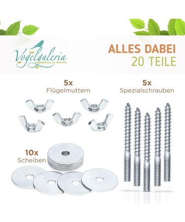 Buy Pack of 5 Stainless Steel Branch Screws for DIY Bird Toys & Perches | Secure Cage Fastening - Buy Online on SooperMarket.com