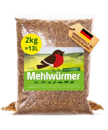 Flourworms dried 2kg (13l) dried mealworms with very high protein content worms for reptiles birds wild birds hedgehogs fish turtles & rodent - Premium quality 2 kg (1 Pack)
