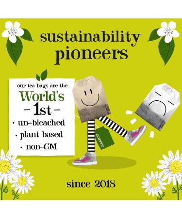 Clipper Organic Pure Green Tea Bags | Box of 40 Teabags | Organic Tea for Home & Office | Eco-Conscious Fair Trade Tea | Natural Unbleached Plant-Based Compostable & Biodegradable Tea Bags - Buy Online on SooperMarket.com