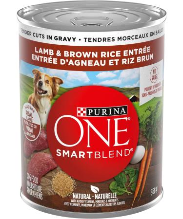 Purina ONE Smartblend Wet Dog Food Lamb & Brown Rice Entr e Tender Cuts + Purina ONE True Instinct Beef & Salmon (Brown) - Buy Online on SooperMarket.com
