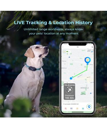 DOGNESS Waterproof GPS Tracker for Dogs and Cats - Live Tracking & Emergency Alerts - Size M - Buy Online on SooperMarket.com