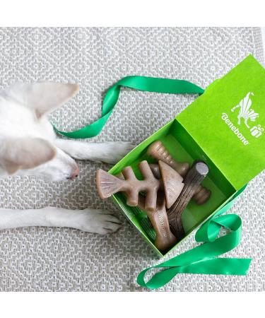 Benebone Durable Dog Chew Toy Box for Aggressive Chewers - Wishbone, Fishbone, Stick & Zaggler Medium - Buy Online on SooperMarket.com