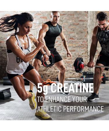 LEANFIT SPORT CREATINE MONOHYDRATE Powder Unflavoured - Creatine Supplement for Increased Muscle Mass Enhanced Energy & Improved Performance - Informed Choice Certified Micronized & Pharmaceutical Grade Creatine Gluten-Free Vegan - 5g Creatine Per Serving - Buy Online on SooperMarket.com