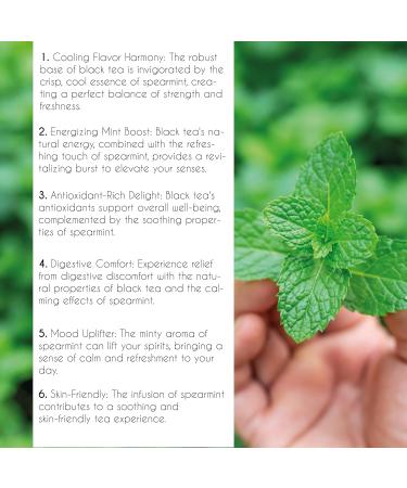 Thames Tea | Premium Flavoured Tea Selection | Luxury British Tea Experience | Spearmint Breeze Loose Leaf Tea - Buy Online on SooperMarket.com