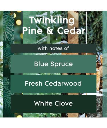 Glade Automatic Spray Refill & Holder Kit - Twinkling Pine & Cedar Air Freshener for Home & Bathroom - 6.2 Oz | International Shipping Available - Buy Online on SooperMarket.com