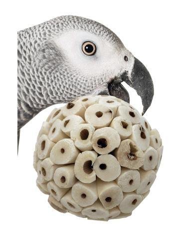 Bonka Bird Toys Sola Atta Balls Foot Beak Chew Forage Natural Organic Small Pet Ball Sola Atta Balls Pk3