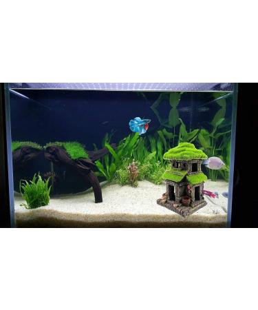 M2cbridge Aquarium Decorations Fish Hideout House Betta Cave with Green Lifelike Moss (Style 3) - Buy Online on SooperMarket.com