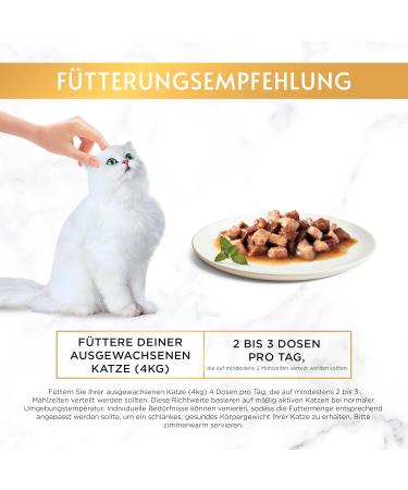 PURINA GOURMET Gold Tender Bites Wet Cat Food with Chicken & Liver - Pack of 12 (85g each) | International Shipping - Buy Online on SooperMarket.com