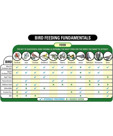Wagner's 62051 Nyjer Seed - Premium Wild Bird Food  5 lb Bag - Buy Online on SooperMarket.com