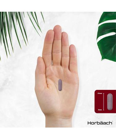 Grape Seed Extract Capsules | 16 000mg | 95% OPCs | High Strength Supplement | 90 Count | by Horbaach - Buy Online on SooperMarket.com