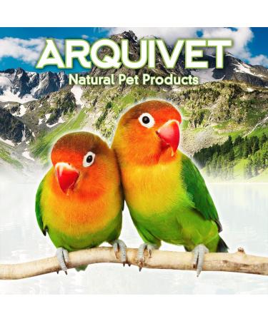 Arquivet Red Mirror for Bird Cages | 12x10 cm | Toys & Accessories for Canaries Budgies Agapornis & Parrots - Buy Online on SooperMarket.com