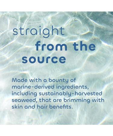 Seaweed Bath Co. Firming Body Cream - Orange Cedar Scent - 6oz - Sustainably Harvested Seaweed & Chlorella - Green Coffee Bean - 1 Pack - Buy Online on SooperMarket.com