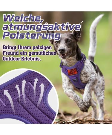 Rabbitgoo Adjustable Dog Harness for Medium Dogs - Durable Tactical Wear-Resistant with Metal Buckles & Handles - Perfect for Hiking (Purple M) - Buy Online on SooperMarket.com