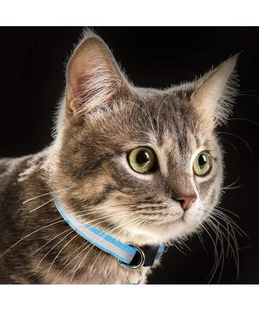 18 Piece Reflective Cat Collars with Bell and Safety Buckles | Durable Nylon Adjustable Collars with 6 Weatherproof ID Tags for Kittens and Puppies - Buy Online on SooperMarket.com
