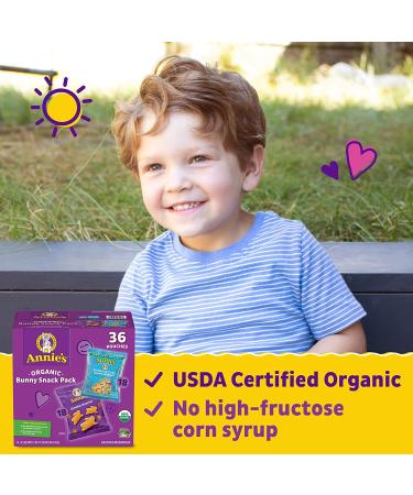 Annie's Organic Birthday Cake Bunny Grahams & Cheddar Bunnies Snack Pack 36ct - 36oz - Buy Online on SooperMarket.com