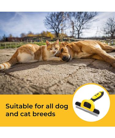 Thunderpaws Professional De-Shedding Tool for Dogs and Cats - Small to Large Breeds - Short or Long Hair - Yellow - Buy Online on SooperMarket.com