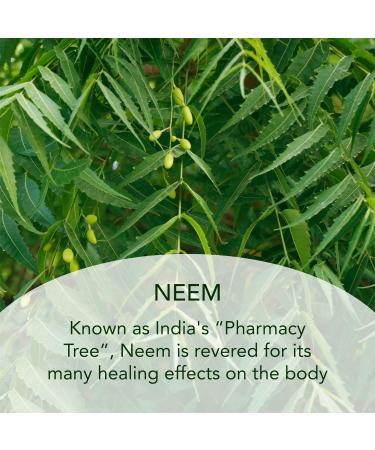 SUND RI Neem and Tamanu Corrective Moisturizer | Hydrating Skincare for All Skin Types | International Shipping - Buy Online on SooperMarket.com
